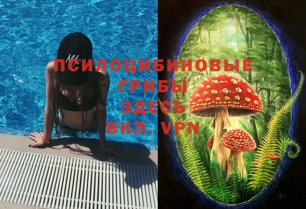 дурь Алзамай