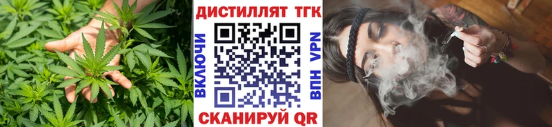 OMG маркетплейс Гаджиево ТГК жижа наркота